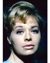 This is an image of 267188 Susannah York Photograph & Poster