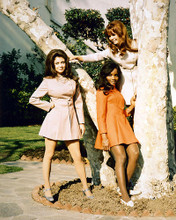 This is an image of 267233 Beyond the Valley of the Dolls Photograph & Poster