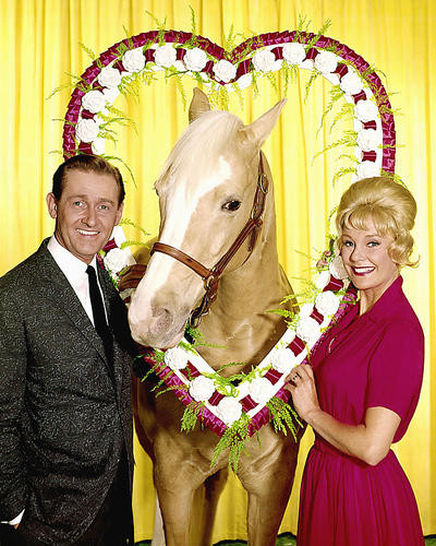 This is an image of 267455 Mr.Ed Photograph & Poster