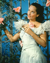 This is an image of 267463 Merle Oberon Photograph & Poster