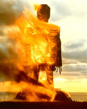This is an image of 269351 The Wicker Man Photograph & Poster