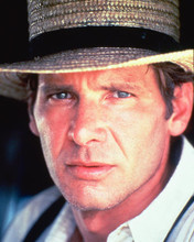 This is an image of 269630 Harrison Ford Photograph & Poster