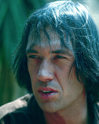 This is an image of 275703 David Carradine Photograph & Poster