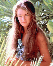 This is an image of 278253 Brooke Shields Photograph & Poster
