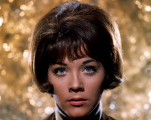This is an image of 280740 Linda Thorson Photograph & Poster
