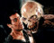This is an image of 280759 Evil Dead 2 Photograph & Poster