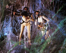 This is an image of Photograph & Poster of Fantastic Voyage 284211