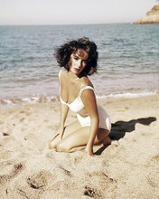 This is an image of Photograph & Poster of Elizabeth Taylor 285088
