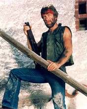 This is an image of 281266 Chuck Norris Photograph & Poster