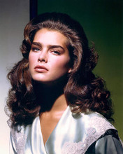 This is an image of 281295 Brooke Shields Photograph & Poster