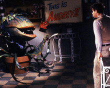 This is an image of 286880 Little Shop of Horrors Photograph & Poster