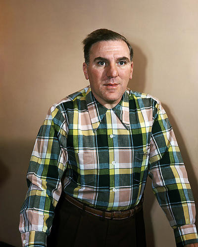 This is an image of 293792 William Bendix Photograph & Poster
