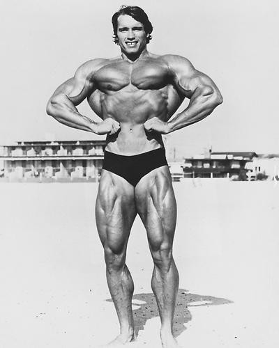 This is an image of 190456 Arnold Schwarzenegger Photograph & Poster