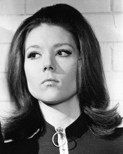 This is an image of 190760 Diana Rigg Photograph & Poster