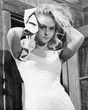 This is an image of 190978 Diane Mcbain Photograph & Poster