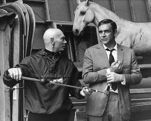 This is an image of 192129 Sean Connery and Yul Brynner Photograph & Poster