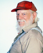 This is an image of 248622 Denver Pyle Photograph & Poster