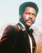 This is an image of 234189 Richard Roundtree Photograph & Poster