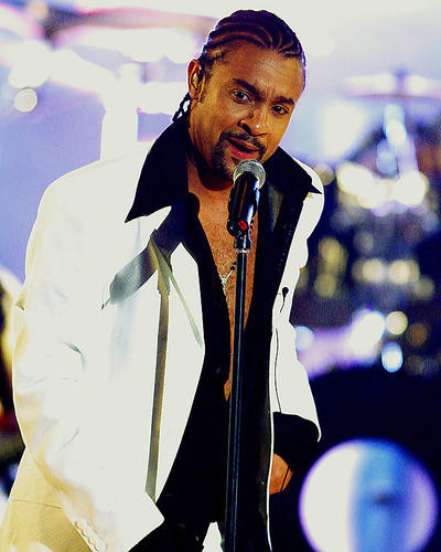 This is an image of 255115 Shaggy Photograph & Poster