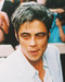 This is an image of 245176 Benecio Del Toro Photograph & Poster