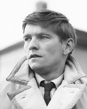 This is an image of 175011 Tom Courtenay Photograph & Poster
