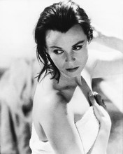 This is an image of 175336 Claire Bloom Photograph & Poster