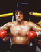 This is an image of 264664 Rocky Ii Photograph & Poster