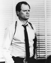 This is an image of 186202 Fred Dryer Photograph & Poster