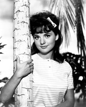 This is an image of 187465 Dawn Wells Photograph & Poster