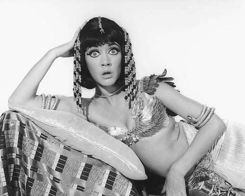 This is an image of 171703 Amanda Barrie Photograph & Poster