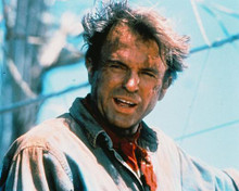 This is an image of 214772 Sam Neill Photograph & Poster