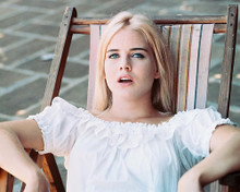 This is an image of 245604 Sue Lyon Photograph & Poster