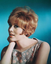 This is an image of 225911 Jill St. John Photograph & Poster