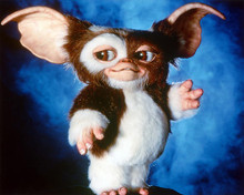 This is an image of 228592 Gremlins Photograph & Poster