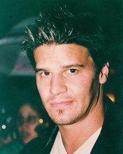 This is an image of 238726 David Boreanaz Photograph & Poster