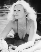 This is an image of 170058 Lynda Day George Photograph & Poster