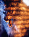 This is an image of 247780 The Howling Photograph & Poster