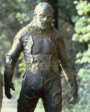 This is an image of 258084 Swamp Thing Photograph & Poster