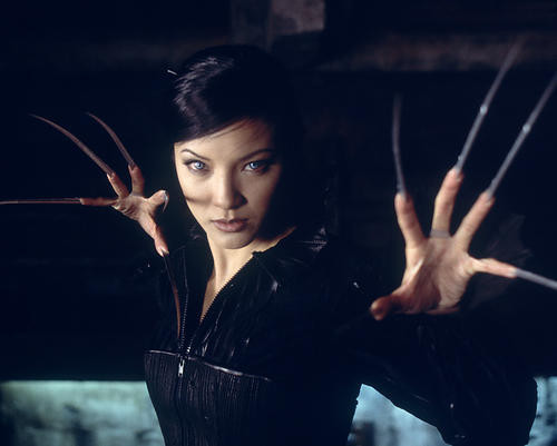 This is an image of 260065 Kelly Hu Photograph & Poster