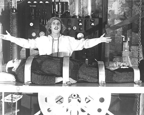 This is an image of 173611 Young Frankenstein Photograph & Poster