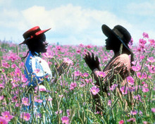 This is an image of 267281 The Color Purple Photograph & Poster