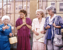 This is an image of 267350 The Golden Girls Photograph & Poster