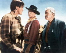 This is an image of 267511 The Searchers Photograph & Poster
