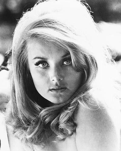 This is an image of 186444 Barbara Bouchet Photograph & Poster