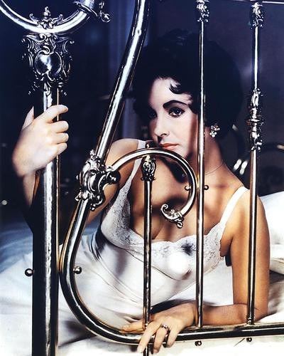 This is an image of 271817 Elizabeth Taylor Photograph & Poster