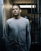This is an image of 272559 Wentworth Miller Photograph & Poster