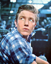 This is an image of 277186 Albert Finney Photograph & Poster