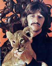 This is an image of 277212 Ringo Starr Photograph & Poster