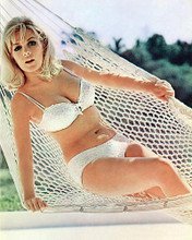 This is an image of 277215 Stella Stevens Photograph & Poster