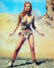 This is an image of 277218 Raquel Welch Photograph & Poster